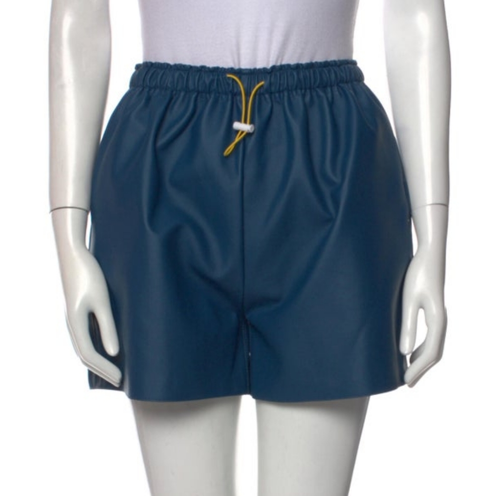 The Frankie Shop NWOT Blue Shorts